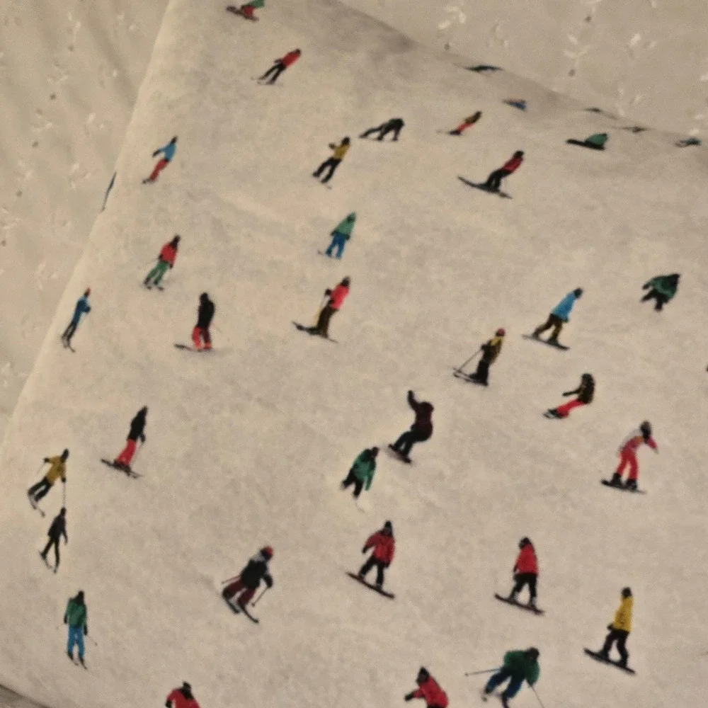 Coast & Valley Down Pillow Skiers Snowboarder Throw Pillow France Winter Whimsy